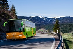 Fahrzeug von Flixbus (Foto: Flixbus)