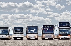 Busse aus dem Portfolio von Daimler Buses (Foto: Daimler)