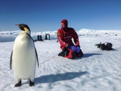 Sonderausstellung „Antarctica“ im Übersee-Museum Bremen