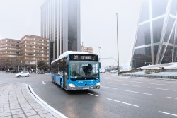 Citaro-Stadtbusse mit Gasantrieb für Madrid