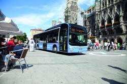 Ausschreibungen von Busverkehrsleistungen: MVV und AVV kritisieren LBO