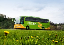 Neue Studie: Fernlinienbusse weisen beste Umweltbilanz auf