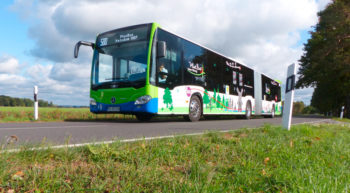 Foto: Plus-Bus Hoher Fläming