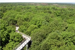 Naturpark Hainich in Thüringen