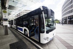 Mercedes-Busse für Berlin