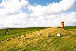 Der bekannteste Stadtteil von Krummhörn ist Pilsum mit seinem berühmten Leuchtturm (Foto: bids.de)