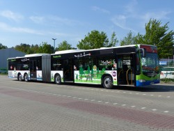 Regiobus Potsdam Mittelmark testet einen Capacity („PlusBus XXL“) im Raum Potsdam – Telntow