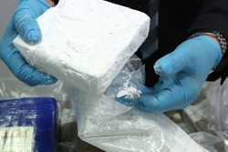 Kokain-Fund (Foto: dpa)